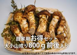 自家用お得セット 800g前後入り (大小山成り)